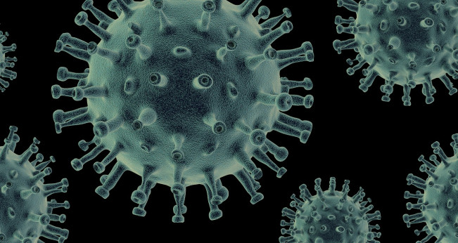 Virus HMPV Kian Dekat! Sudah Melonjak di Malaysia, Begini Respons Dinkes Medan